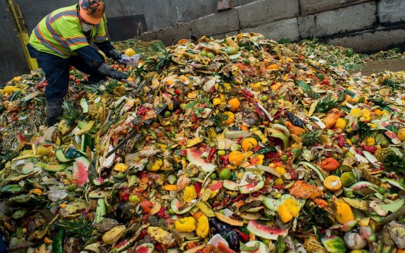 Reducing pricey food wastage