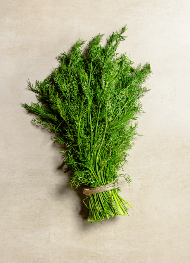 Herbs & Lettuce